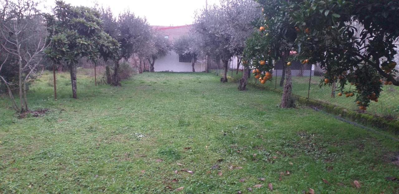 Casa Do Adro Βίλα Arcozelo  Εξωτερικό φωτογραφία